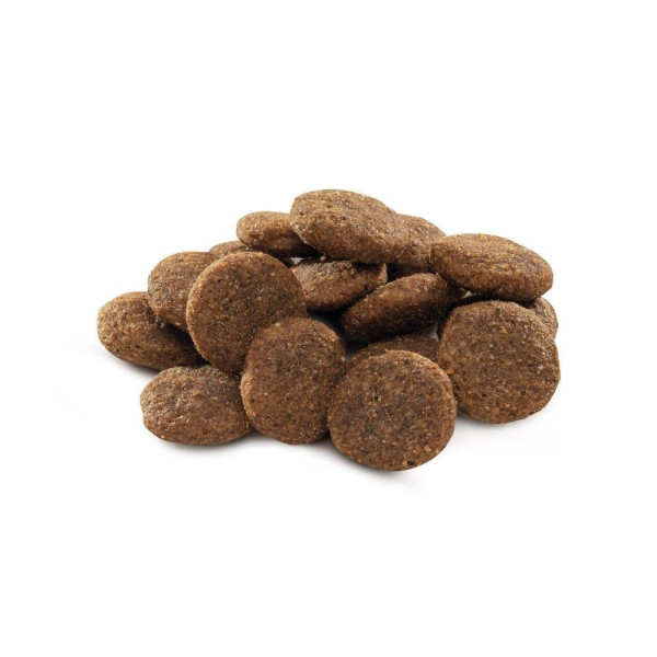 Brit Premium Dog Adult L сухий корм для собак 15 кг - курка Brit Premium – купити зі знижкою %