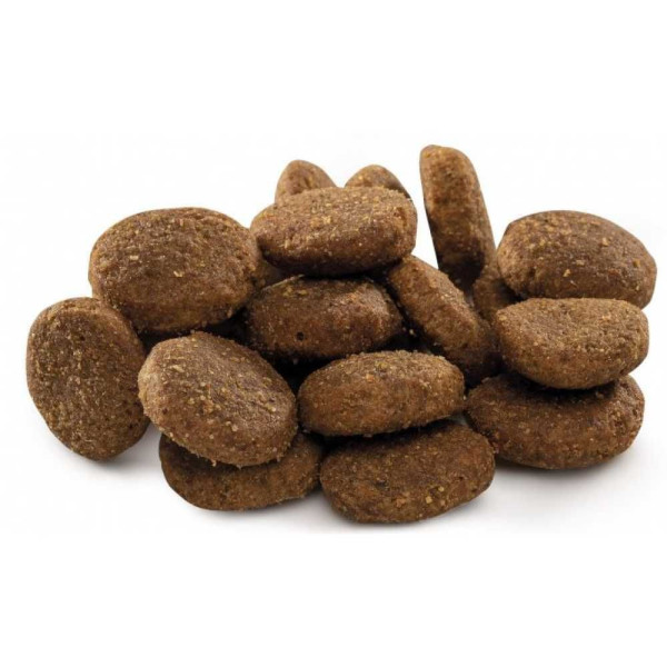 Brit Premium Dog Junior XL сухий корм для цуценят 15 кг - курка Brit Premium – купити зі знижкою %