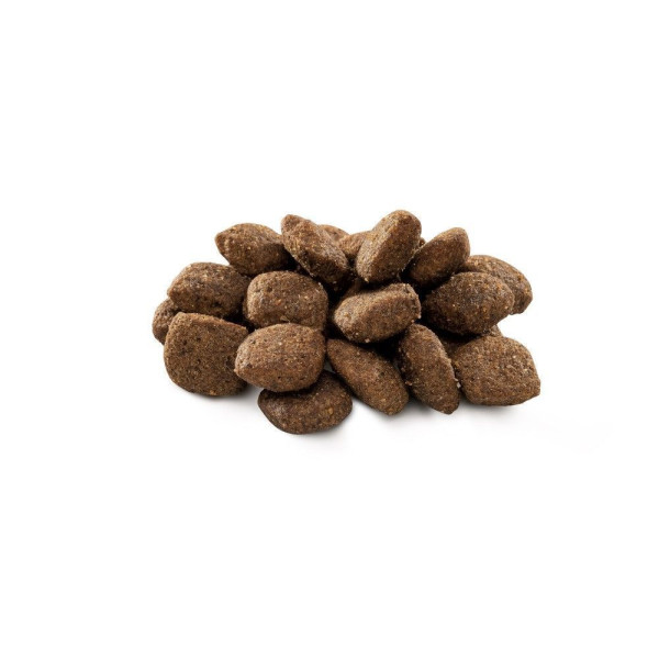 Brit Premium Dog Sensitive cухий корм для собак 15 кг - ягня та рис Brit Premium – купити зі знижкою %