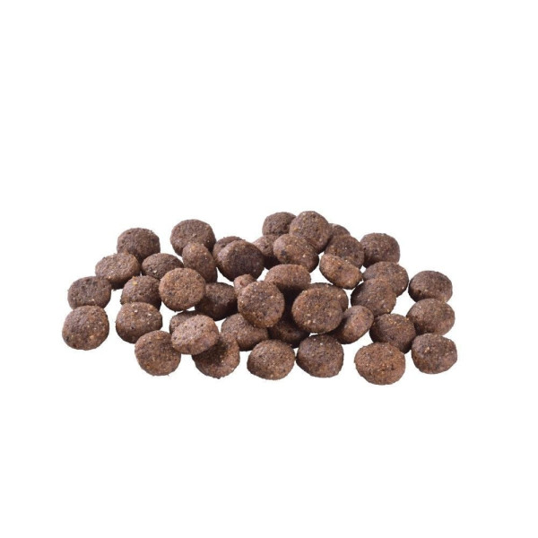 Brit Care Grain-free Adult сухий корм для собак 12 кг - лосось Brit Care – купити зі знижкою %
