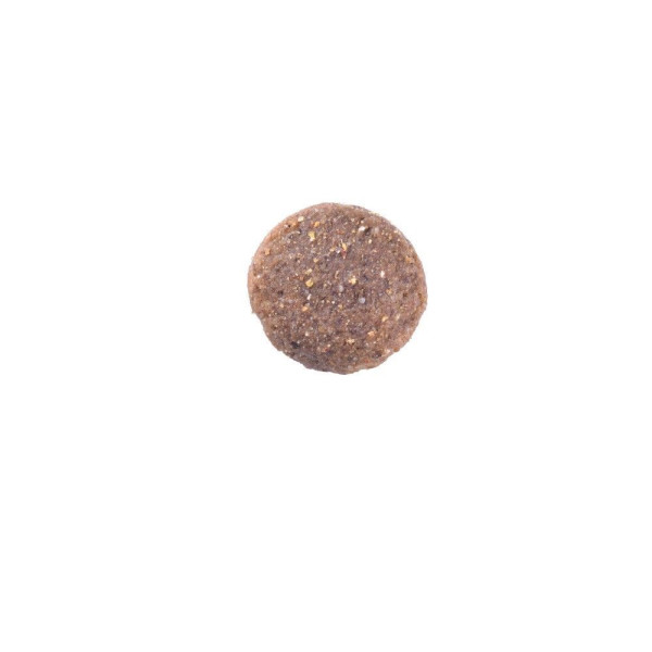 Brit Care Grain-free Adult Large Breed сухий корм для собак 12 кг - лосось Brit Care – купити зі знижкою %