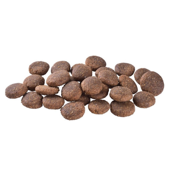 Brit Care Grain-free Adult Large Breed сухий корм для собак 12 кг - лосось Brit Care – купити зі знижкою %