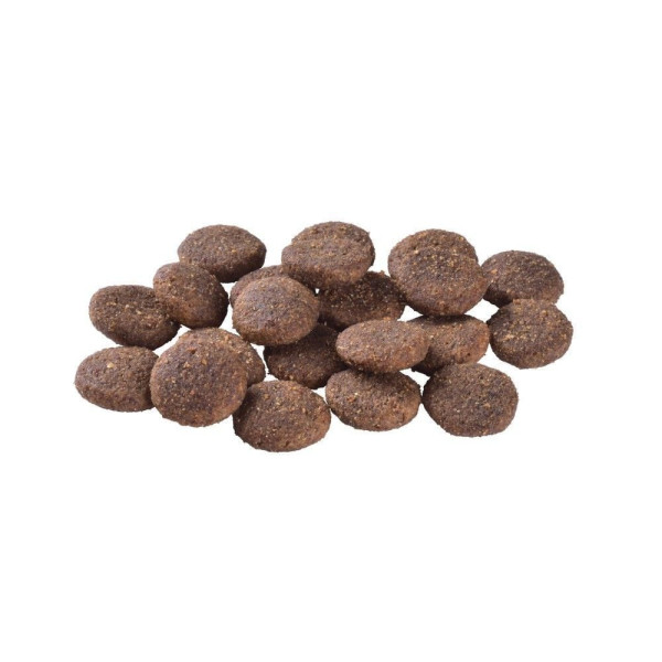 Brit Care Hypoallergenic Large Breed Adult сухий корм для собак 12 кг - ягня Brit Care – купити зі знижкою %