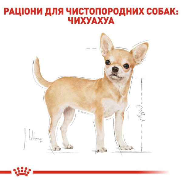 Вологий корм для собак Royal Canin Chihuahua Adult pouch 85 г (1 упак 12 шт) Royal Canin – купити зі знижкою %