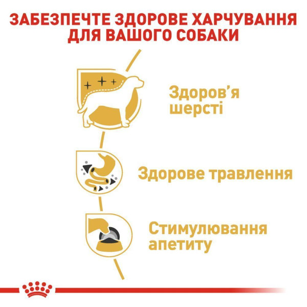 Вологий корм для собак Royal Canin Chihuahua Adult pouch 85 г (1 упак 12 шт) Royal Canin – купити зі знижкою %