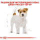 Сухий корм для собак Royal Canin Jack Russel Adult 7,5 кг Royal Canin – купити зі знижкою %