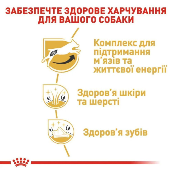 Сухий корм для собак Royal Canin Jack Russel Adult 7,5 кг Royal Canin – купити зі знижкою %