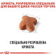 Сухий корм для собак Royal Canin Jack Russel Adult 7,5 кг Royal Canin – купити зі знижкою %