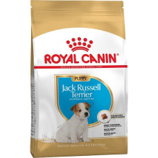 Сухий корм для цуценят Royal Canin Jack Russel Puppy 1,5 кг