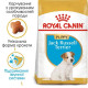 Сухий корм для цуценят Royal Canin Jack Russel Puppy 1,5 кг Royal Canin – купити зі знижкою %