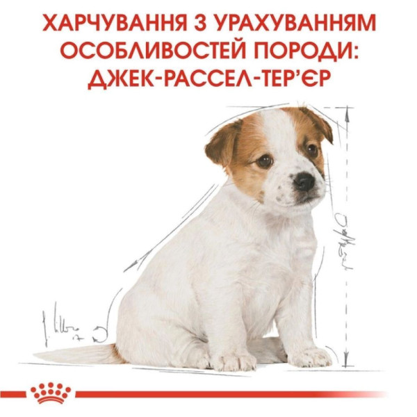 Сухий корм для цуценят Royal Canin Jack Russel Puppy 1,5 кг Royal Canin – купити зі знижкою %