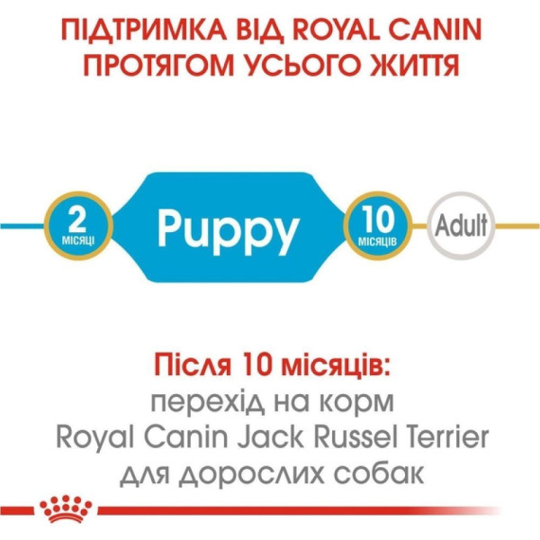 Сухий корм для цуценят Royal Canin Jack Russel Puppy 1,5 кг Royal Canin – купити зі знижкою %