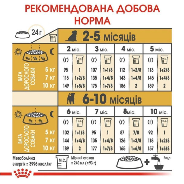 Сухий корм для цуценят Royal Canin Jack Russel Puppy 1,5 кг Royal Canin – купити зі знижкою %