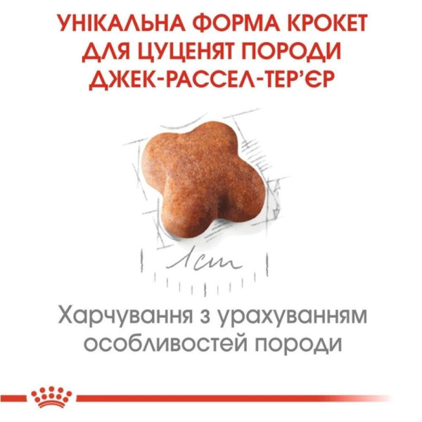 Сухий корм для цуценят Royal Canin Jack Russel Puppy 1,5 кг Royal Canin – купити зі знижкою %