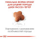 Сухий корм для цуценят Royal Canin Jack Russel Puppy 1,5 кг Royal Canin – купити зі знижкою %
