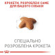 Сухий корм для собак Royal Canin Beagle Adult 3 кг Royal Canin – купити зі знижкою %