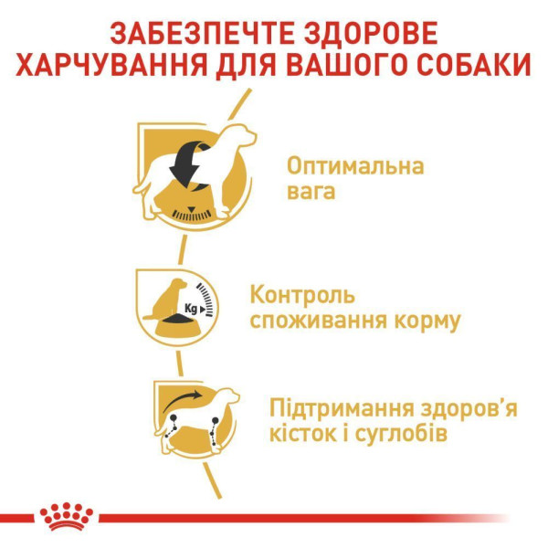 Сухий корм для собак Royal Canin Beagle Adult 3 кг Royal Canin – купити зі знижкою %