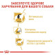 Сухий корм для собак Royal Canin Beagle Adult 3 кг Royal Canin – купити зі знижкою %