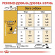 Сухий корм для собак Royal Canin Beagle Adult 3 кг Royal Canin – купити зі знижкою %