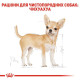 Сухий корм для собак Royal Canin Chihuahua Adult 3 кг Royal Canin – купити зі знижкою %