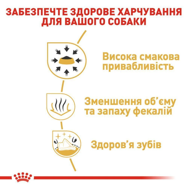 Сухий корм для собак Royal Canin Chihuahua Adult 3 кг Royal Canin – купити зі знижкою %