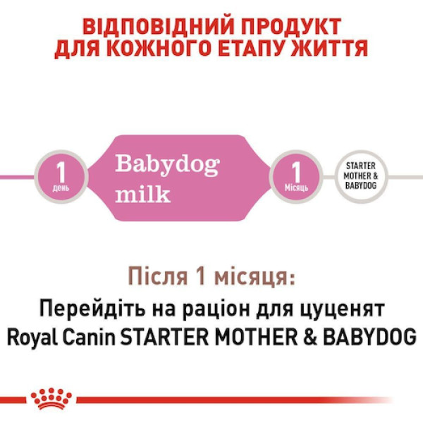 Замінник молока для собак Royal Canin BabyMilk 2 кг Royal Canin – купити зі знижкою %
