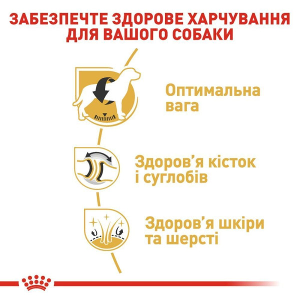 Сухий корм для собак Royal Canin Labrador Retriever Adult 12 кг Royal Canin – купити зі знижкою %