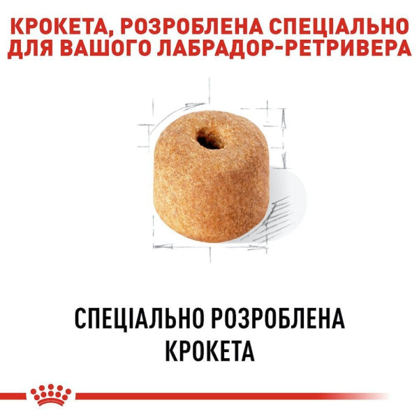 Сухий корм для собак Royal Canin Labrador Retriever Adult 12 кг Royal Canin – купити зі знижкою %