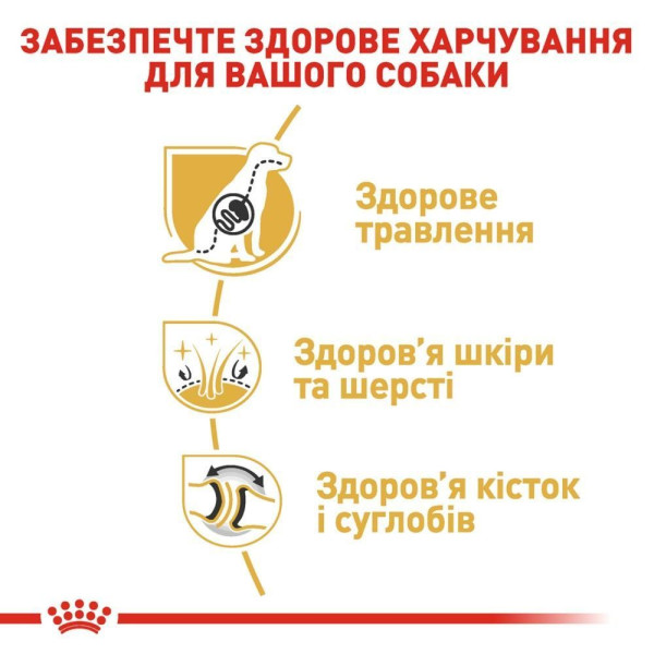 Сухий корм для собак Royal Canin German Shepherd Adult 11 кг Royal Canin – купити зі знижкою %