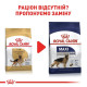 Сухий корм для собак Royal Canin German Shepherd Adult 11 кг Royal Canin – купити зі знижкою %