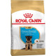 Сухий корм для цуценят Royal Canin German Shepherd Puppy 12 кг Royal Canin – купити зі знижкою %