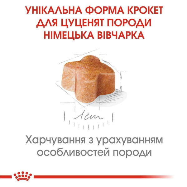 Сухий корм для цуценят Royal Canin German Shepherd Puppy 12 кг Royal Canin – купити зі знижкою %