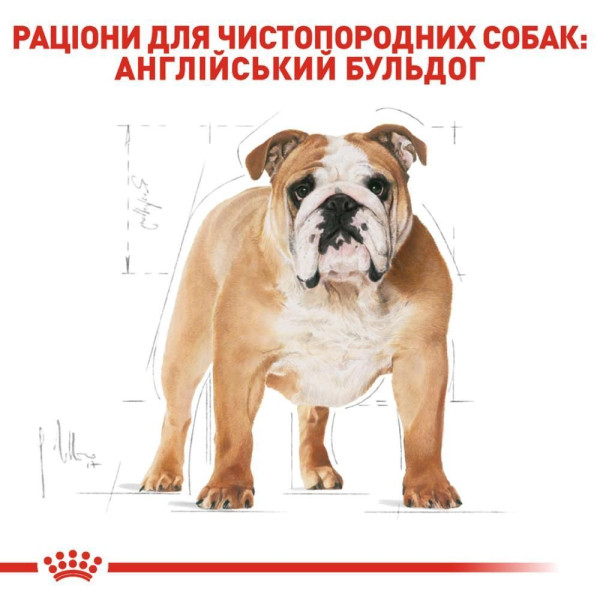 Сухий корм для собак Royal Canin Bulldog Adult 3 кг Royal Canin – купити зі знижкою %