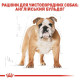 Сухий корм для собак Royal Canin Bulldog Adult 3 кг Royal Canin – купити зі знижкою %