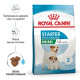 Сухий корм для цуценят Royal Canin Mini Starter 8 кг Royal Canin – купити зі знижкою %