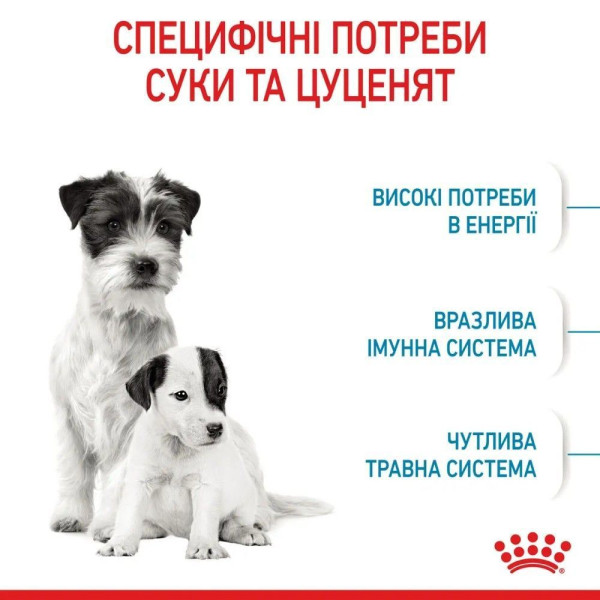 Сухий корм для цуценят Royal Canin Mini Starter 8 кг Royal Canin – купити зі знижкою %