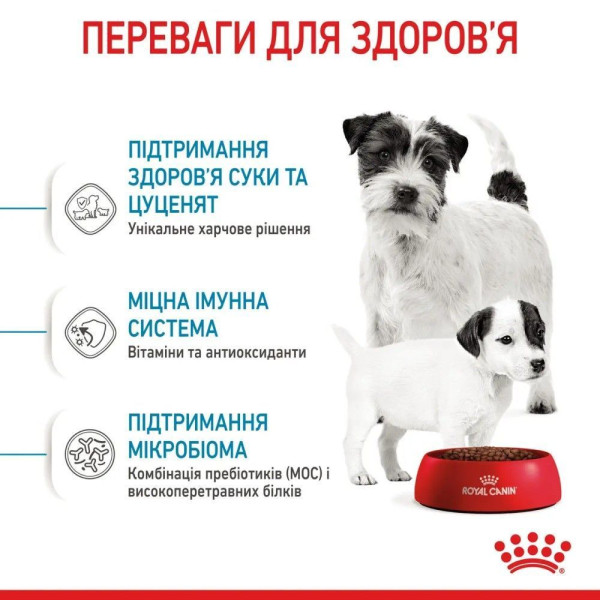 Сухий корм для цуценят Royal Canin Mini Starter 8 кг Royal Canin – купити зі знижкою %