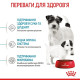 Сухий корм для цуценят Royal Canin Mini Starter 8 кг Royal Canin – купити зі знижкою %