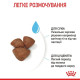 Сухий корм для цуценят Royal Canin Mini Starter 8 кг Royal Canin – купити зі знижкою %