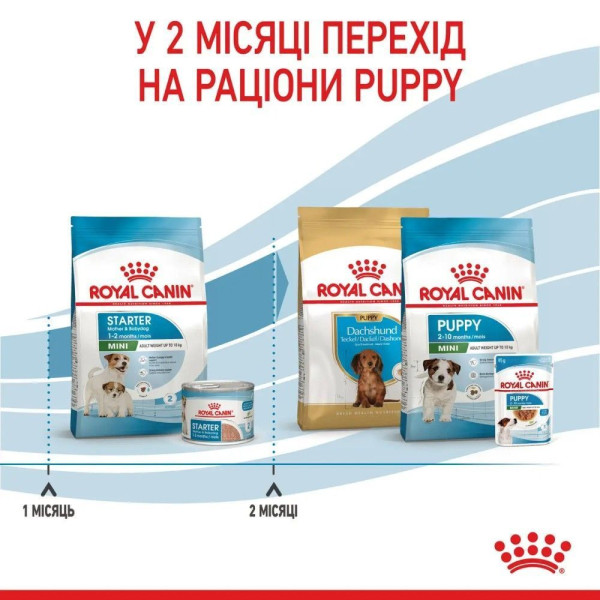 Сухий корм для цуценят Royal Canin Mini Starter 8 кг Royal Canin – купити зі знижкою %