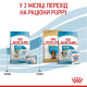 Сухий корм для цуценят Royal Canin Mini Starter 8 кг Royal Canin – купити зі знижкою %