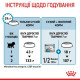 Сухий корм для цуценят Royal Canin Mini Starter 8 кг Royal Canin – купити зі знижкою %