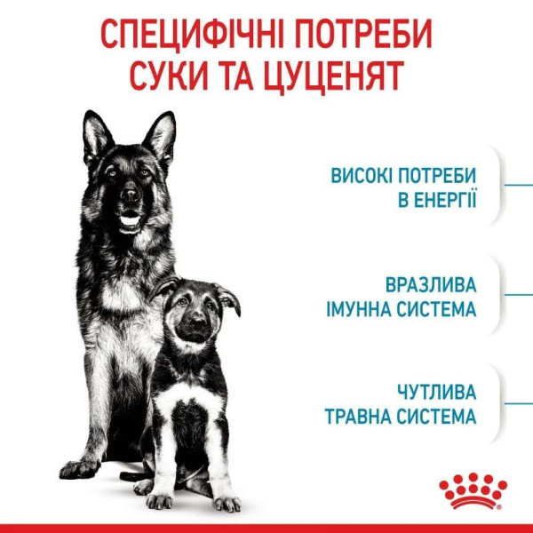 Сухий корм для цуценят Royal Canin Maxi Starter 4 кг Royal Canin – купити зі знижкою %