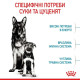 Сухий корм для цуценят Royal Canin Maxi Starter 4 кг Royal Canin – купити зі знижкою %