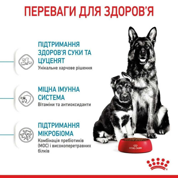 Сухий корм для цуценят Royal Canin Maxi Starter 4 кг Royal Canin – купити зі знижкою %