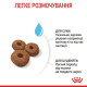 Сухий корм для цуценят Royal Canin Maxi Starter 4 кг Royal Canin – купити зі знижкою %
