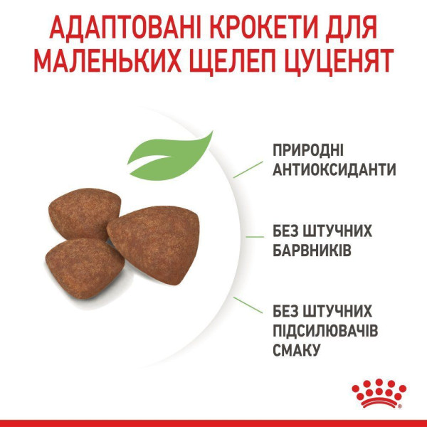 Сухий корм для цуценят Royal Canin Mini Puppy 2 кг Royal Canin – купити зі знижкою %