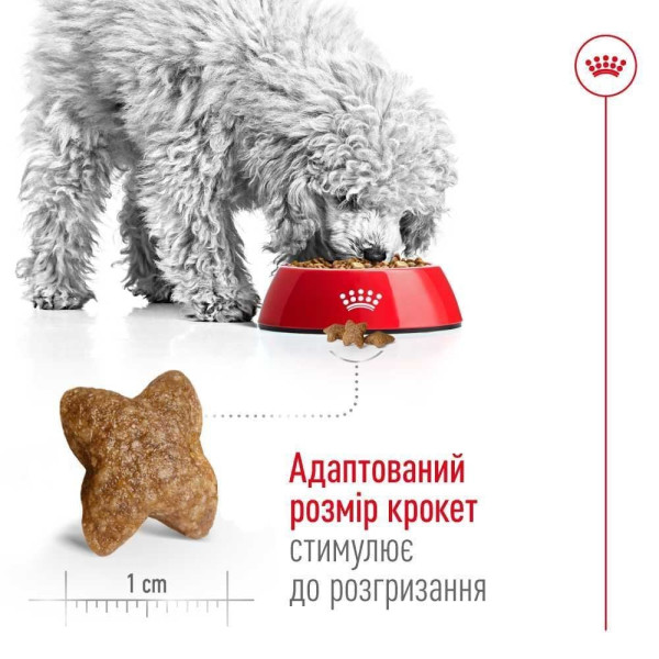 Сухий корм для собак Royal Canin Mini Adult 2 кг Royal Canin – купити зі знижкою %