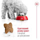 Сухий корм для собак Royal Canin Mini Adult 2 кг Royal Canin – купити зі знижкою %