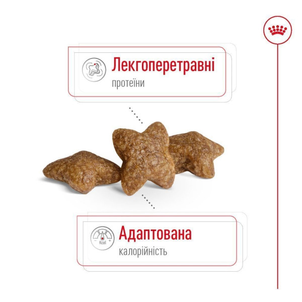 Сухий корм для собак Royal Canin Mini Adult 2 кг Royal Canin – купити зі знижкою %